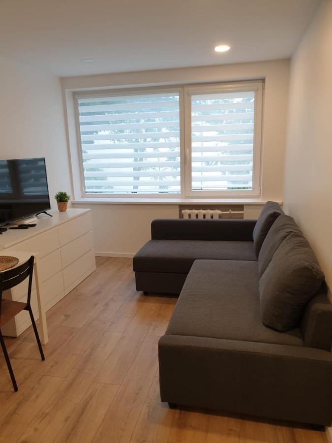 Studio Rent In Зарасай Экстерьер фото